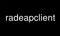 Run radeapclient in OnWorks free hosting provider over Ubuntu Online, Fedora Online, Windows online emulator or MAC OS online emulator