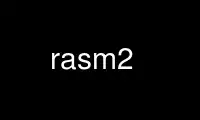 Run rasm2 in OnWorks free hosting provider over Ubuntu Online, Fedora Online, Windows online emulator or MAC OS online emulator