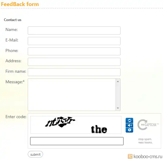 Download web tool or web app ReCaptcha plugin for Kooboo CMS