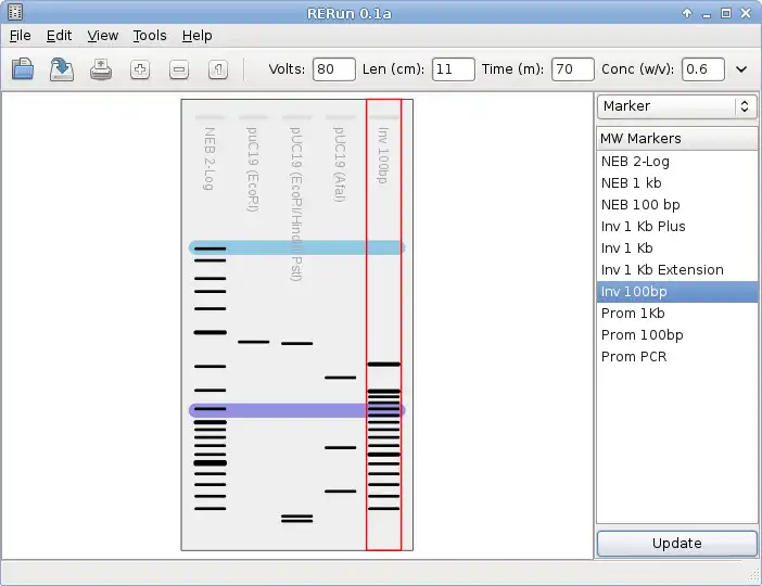 Download web tool or web app RErun to run in Linux online