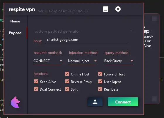 Download web tool or web app respite vpn - ssh  openvpn injector