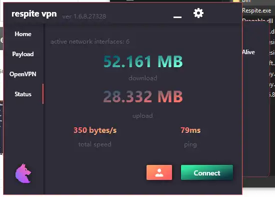 Download web tool or web app respite vpn - ssh  openvpn injector