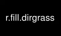 Run r.fill.dirgrass in OnWorks free hosting provider over Ubuntu Online, Fedora Online, Windows online emulator or MAC OS online emulator