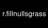 Run r.fillnullsgrass in OnWorks free hosting provider over Ubuntu Online, Fedora Online, Windows online emulator or MAC OS online emulator