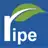 Free download Ripe website manager (CMS) Windows app to run online win Wine in Ubuntu online, Fedora online or Debian online