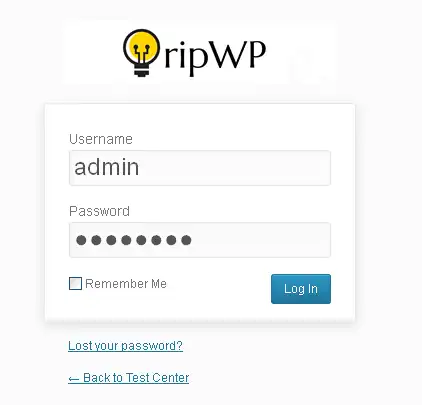 Download web tool or web app RipWP