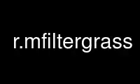 Run r.mfiltergrass in OnWorks free hosting provider over Ubuntu Online, Fedora Online, Windows online emulator or MAC OS online emulator