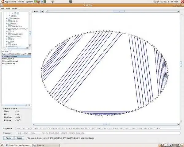 Download web tool or web app RNA-DV