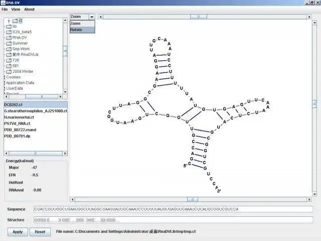 Download web tool or web app RNA-DV to run in Linux online