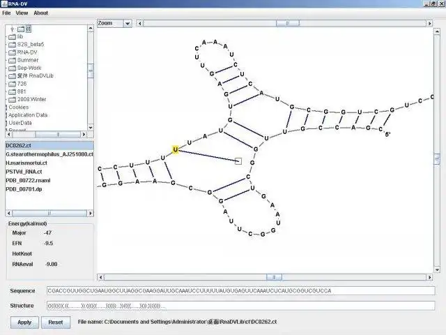 Download web tool or web app RNA-DV to run in Linux online