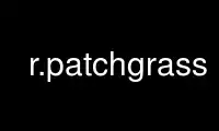 Run r.patchgrass in OnWorks free hosting provider over Ubuntu Online, Fedora Online, Windows online emulator or MAC OS online emulator