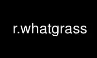 Run r.whatgrass in OnWorks free hosting provider over Ubuntu Online, Fedora Online, Windows online emulator or MAC OS online emulator