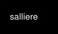 Run salliere in OnWorks free hosting provider over Ubuntu Online, Fedora Online, Windows online emulator or MAC OS online emulator