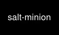 Run salt-minion in OnWorks free hosting provider over Ubuntu Online, Fedora Online, Windows online emulator or MAC OS online emulator