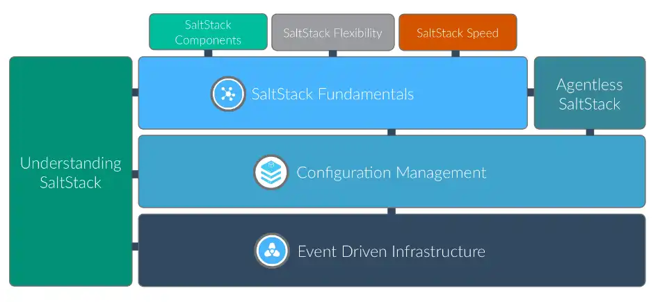 Download web tool or web app SaltStack