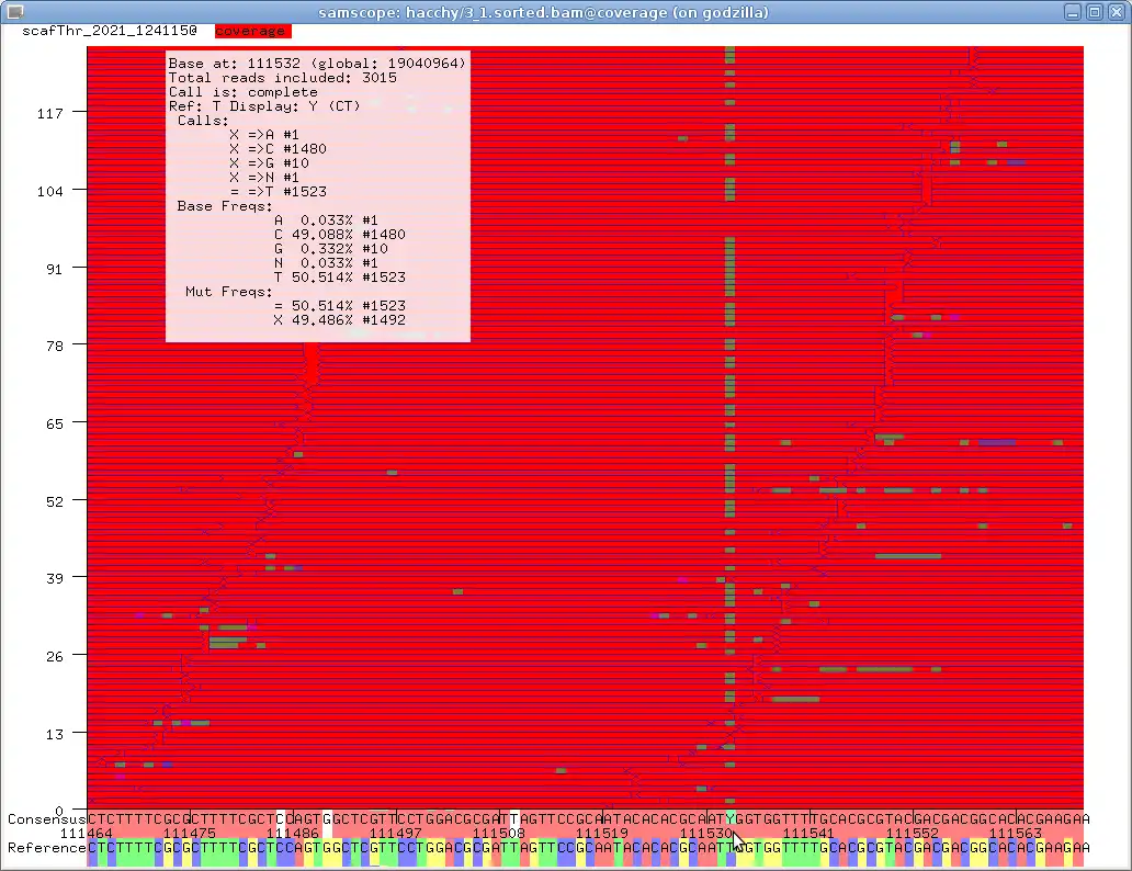 Download web tool or web app samscope to run in Linux online