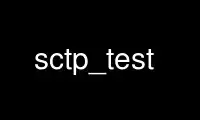 Run sctp_test in OnWorks free hosting provider over Ubuntu Online, Fedora Online, Windows online emulator or MAC OS online emulator