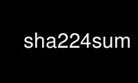 Run sha224sum in OnWorks free hosting provider over Ubuntu Online, Fedora Online, Windows online emulator or MAC OS online emulator