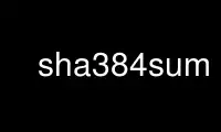 Run sha384sum in OnWorks free hosting provider over Ubuntu Online, Fedora Online, Windows online emulator or MAC OS online emulator