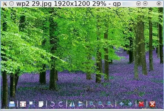 Download web tool or web app simple picture viewer