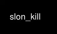 Run slon_kill in OnWorks free hosting provider over Ubuntu Online, Fedora Online, Windows online emulator or MAC OS online emulator