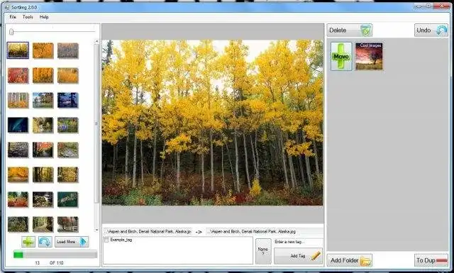 Download web tool or web app Sortimg - Image Sorting Helper