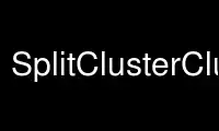 Run SplitClusterClust in OnWorks free hosting provider over Ubuntu Online, Fedora Online, Windows online emulator or MAC OS online emulator