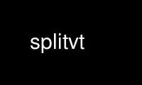 Run splitvt in OnWorks free hosting provider over Ubuntu Online, Fedora Online, Windows online emulator or MAC OS online emulator