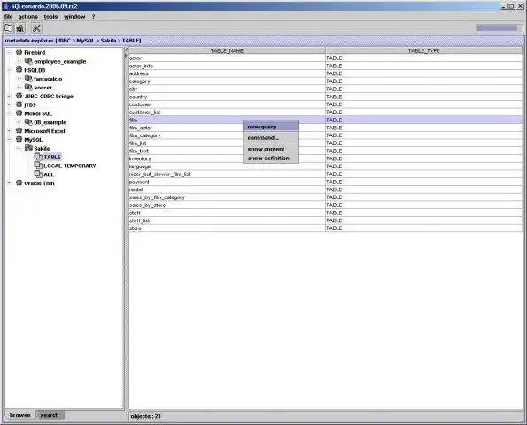 Descargar herramienta web o aplicación web SQLeonardo