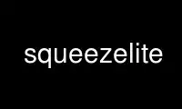 Run squeezelite in OnWorks free hosting provider over Ubuntu Online, Fedora Online, Windows online emulator or MAC OS online emulator