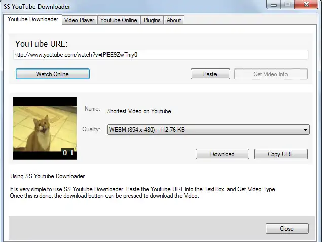 Download web tool or web app SS Youtube Downloader