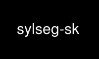 Run sylseg-sk in OnWorks free hosting provider over Ubuntu Online, Fedora Online, Windows online emulator or MAC OS online emulator