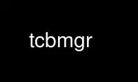 Run tcbmgr in OnWorks free hosting provider over Ubuntu Online, Fedora Online, Windows online emulator or MAC OS online emulator