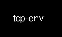 Run tcp-env in OnWorks free hosting provider over Ubuntu Online, Fedora Online, Windows online emulator or MAC OS online emulator