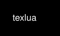 Run texlua in OnWorks free hosting provider over Ubuntu Online, Fedora Online, Windows online emulator or MAC OS online emulator