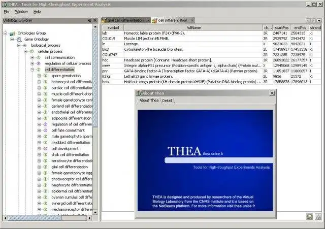 Download web tool or web app Thea