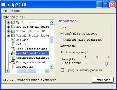 Download web tool or web app The Bzip2GUI