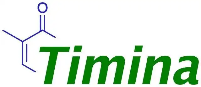 Download web tool or web app Timina