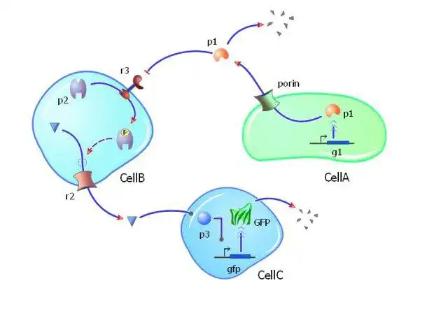 Download web tool or web app TinkerCell : CAD for Synthetic Biology