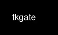 Run tkgate in OnWorks free hosting provider over Ubuntu Online, Fedora Online, Windows online emulator or MAC OS online emulator