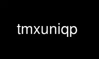 Run tmxuniqp in OnWorks free hosting provider over Ubuntu Online, Fedora Online, Windows online emulator or MAC OS online emulator