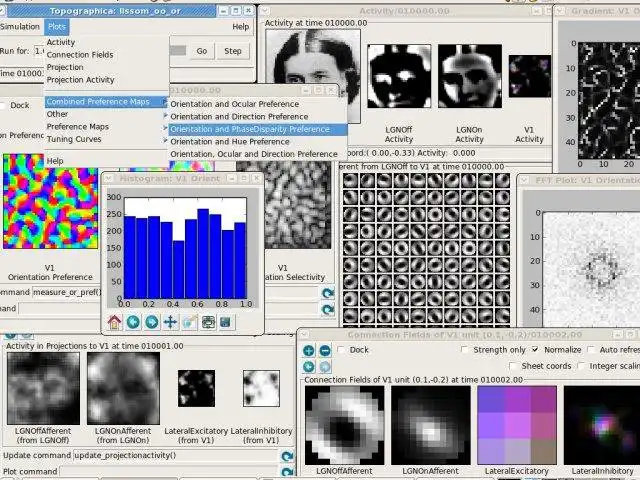 Download web tool or web app Topographica to run in Windows online over Linux online