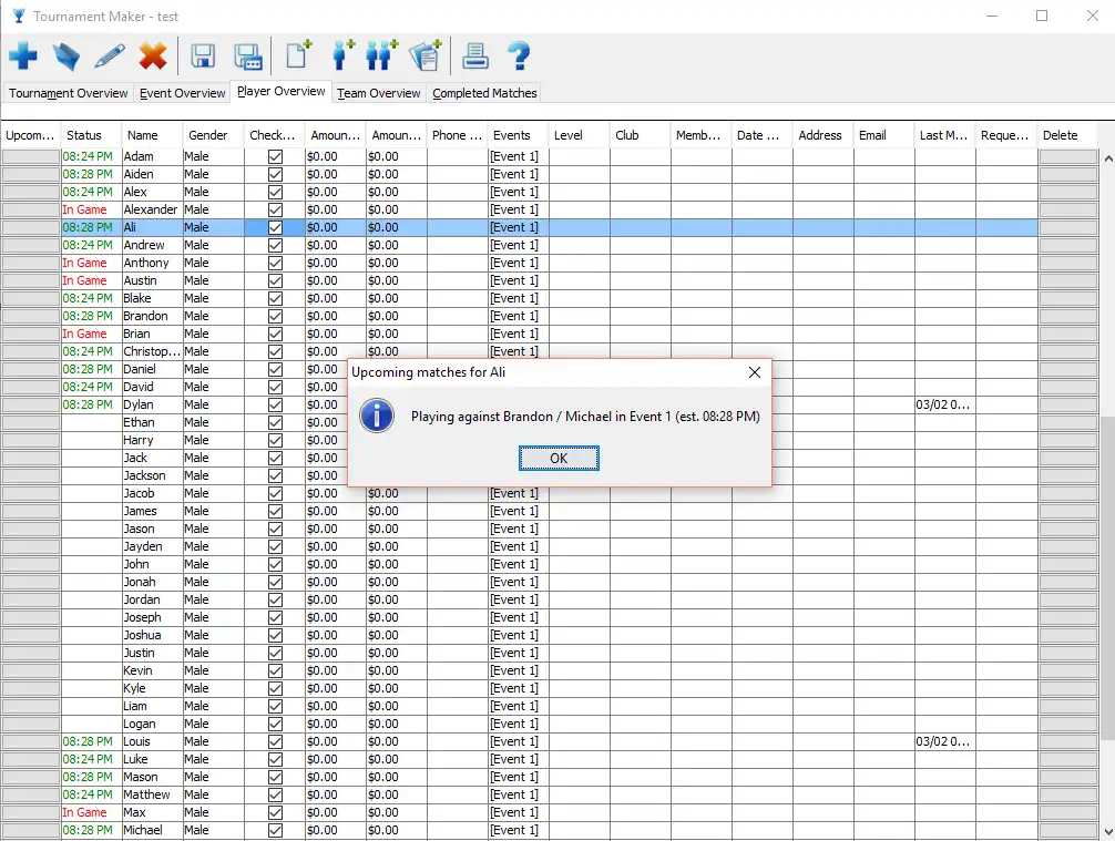 Download web tool or web app Tournament Maker