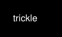 Run trickle in OnWorks free hosting provider over Ubuntu Online, Fedora Online, Windows online emulator or MAC OS online emulator