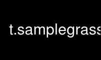 Run t.samplegrass in OnWorks free hosting provider over Ubuntu Online, Fedora Online, Windows online emulator or MAC OS online emulator