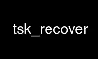 Run tsk_recover in OnWorks free hosting provider over Ubuntu Online, Fedora Online, Windows online emulator or MAC OS online emulator