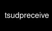 Run tsudpreceive in OnWorks free hosting provider over Ubuntu Online, Fedora Online, Windows online emulator or MAC OS online emulator