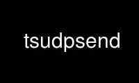 Run tsudpsend in OnWorks free hosting provider over Ubuntu Online, Fedora Online, Windows online emulator or MAC OS online emulator