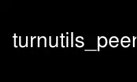 Run turnutils_peer in OnWorks free hosting provider over Ubuntu Online, Fedora Online, Windows online emulator or MAC OS online emulator