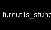 ເປີດໃຊ້ turnutils_stunclient ໃນ OnWorks ຜູ້ໃຫ້ບໍລິການໂຮດຕິ້ງຟຣີຜ່ານ Ubuntu Online, Fedora Online, Windows online emulator ຫຼື MAC OS online emulator